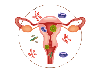 宫外孕怎么来的？真实原因让人揪心